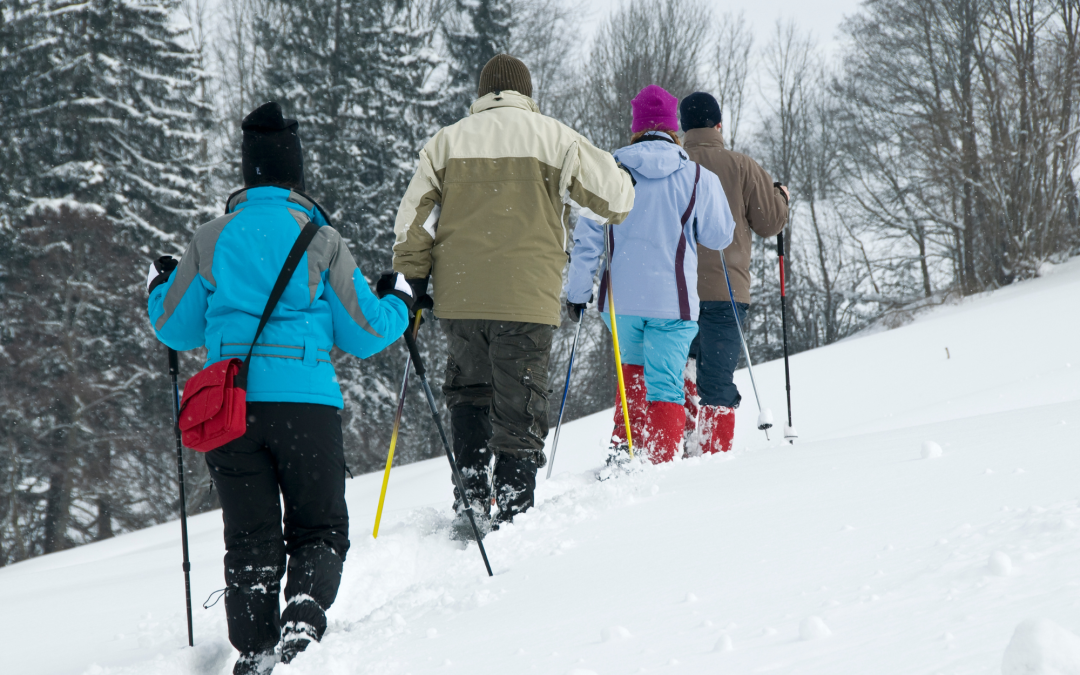 Snowshoeing 101: A Beginner’s Guide to Winter Hiking